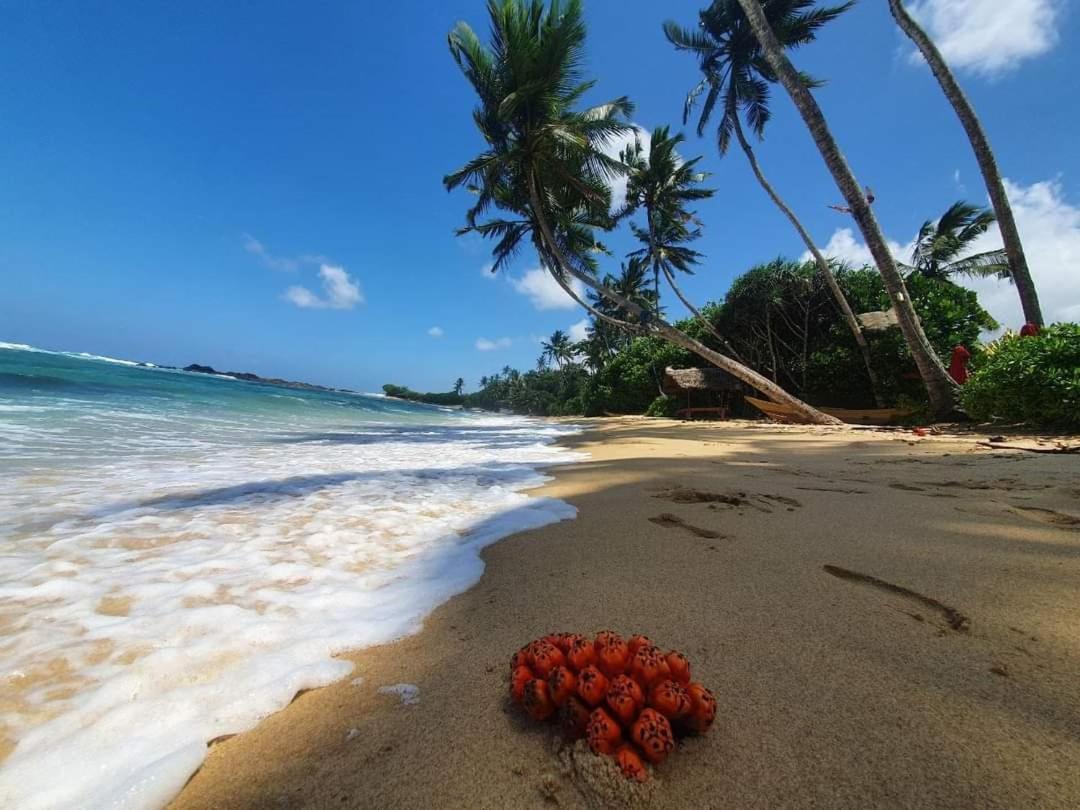 Turtle Beach House Batigama Eksteriør bilde