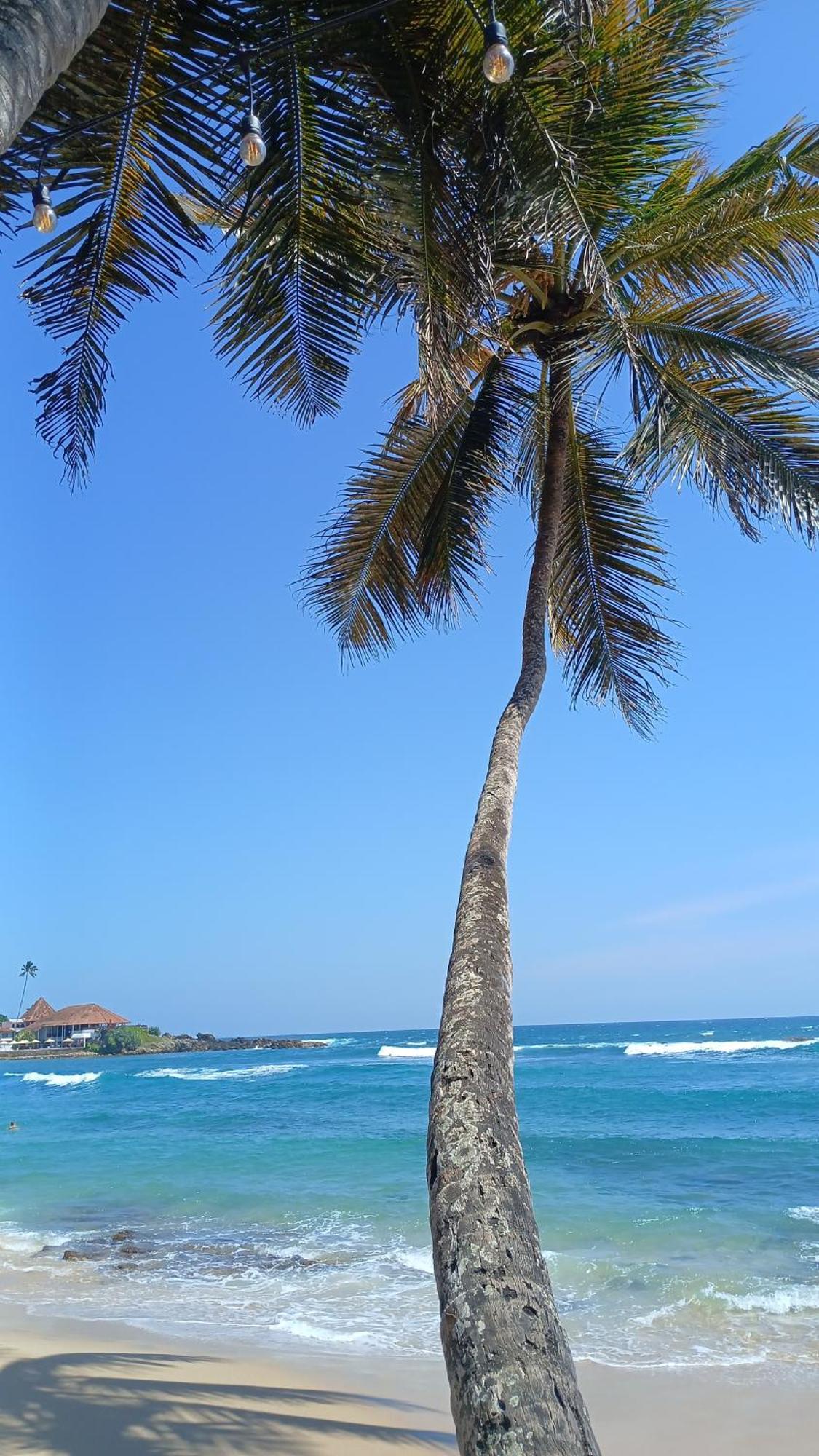 Turtle Beach House Batigama Eksteriør bilde